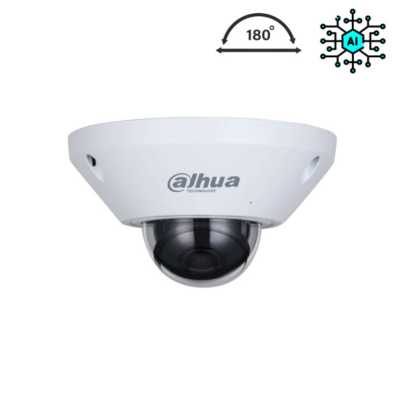 Caméra IP panoramique Fisheye / 360° anti-vandalisme