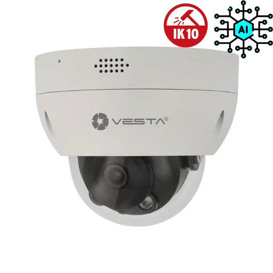 Caméra de surveillance dôme IP VESTA - Série IA Anti-Vandalisme