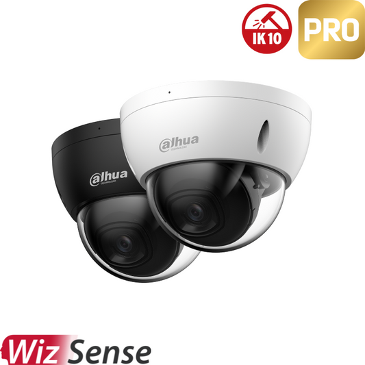 Caméra de surveillance dôme IP - Série Pro Anti Vandalisme