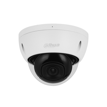 Caméra de surveillance dôme IP - Anti-Vandalisme