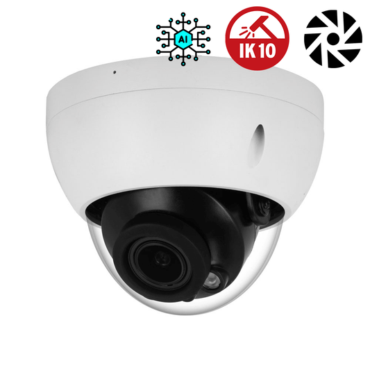 Caméra de surveillance dôme IP anti-vandalisme Direct-Sécurité avec zoom motorisée et IA