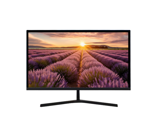 Ecran HD 24" spécial vidéosurveillance