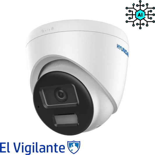 Caméra de surveillance dôme IP HYUNDAI - El Vigilente - Direct - Sécurité - Boutique