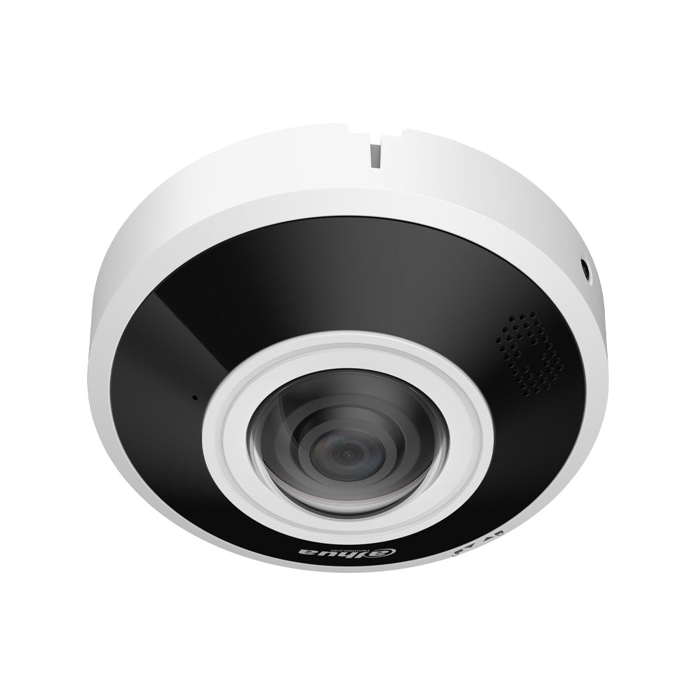 Caméra de surveillance IP DAHUA panoramique - Anti - Vandalisme WizMind - Direct - Sécurité - Boutique