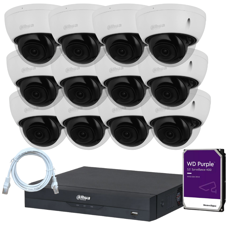Kit de 12 caméras de surveillance DAHUA - Série Pro Anti-Vandalisme