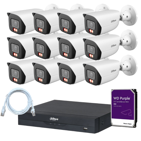Kit de 12 caméras de surveillance extérieure DAHUA - Série Pro