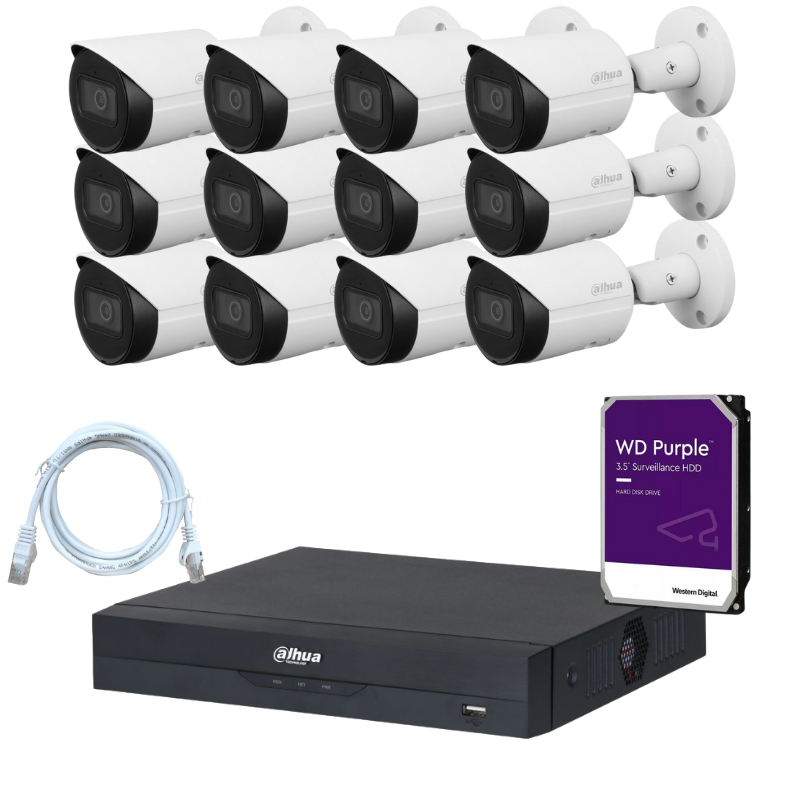 Kit de 12 caméras de surveillance DAHUA - Série Wizsense