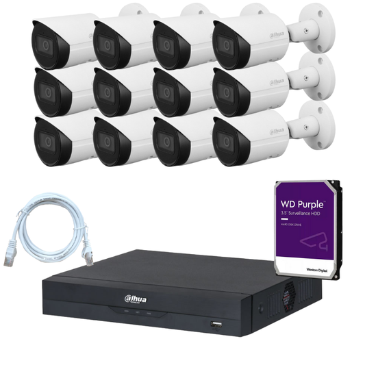 Kit de 12 caméras de surveillance DAHUA - Série Wizsense